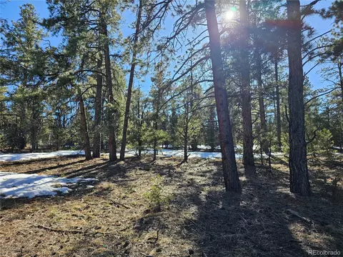 R Path, Cotopaxi, CO 81223 photo 8