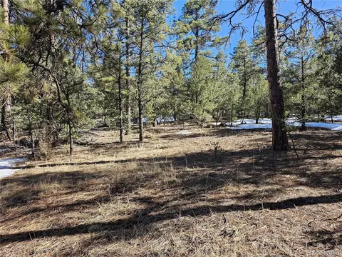 R Path, Cotopaxi, CO 81223 photo 11