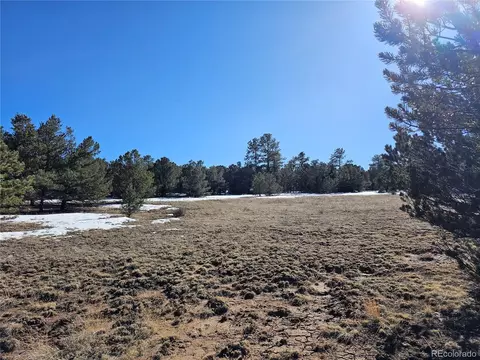 R Path, Cotopaxi, CO 81223 photo 13