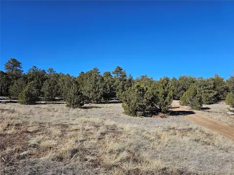 R Path, Cotopaxi, CO 81223 photo 3