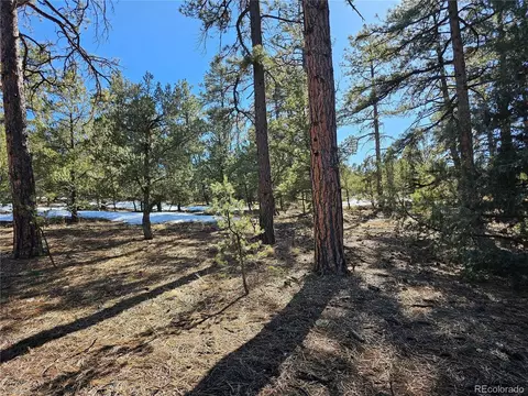 R Path, Cotopaxi, CO 81223 photo 12