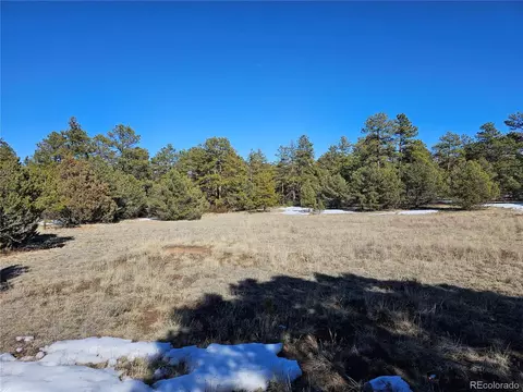 R Path, Cotopaxi, CO 81223 photo 18