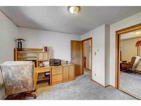 315 Quakie Way, Bailey, CO 80421 photo 17