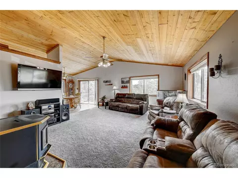 315 Quakie Way, Bailey, CO 80421 photo 6