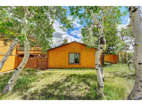 315 Quakie Way, Bailey, CO 80421 photo 26