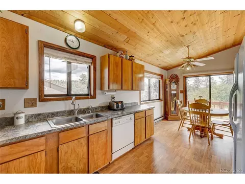 315 Quakie Way, Bailey, CO 80421 photo 13