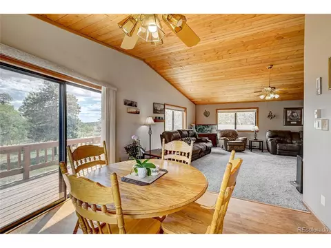 315 Quakie Way, Bailey, CO 80421 photo 11