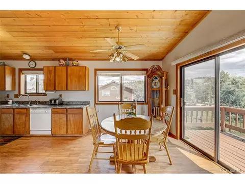 315 Quakie Way, Bailey, CO 80421 photo 10