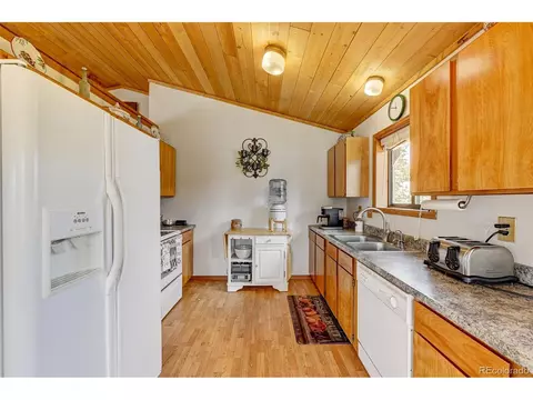 315 Quakie Way, Bailey, CO 80421 photo 9