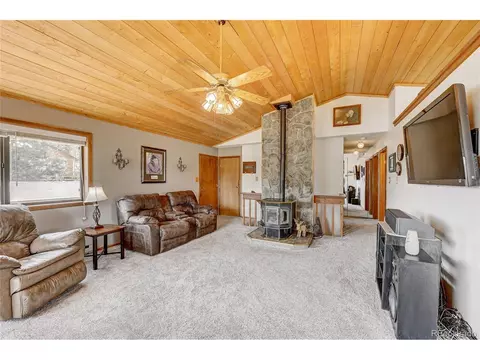 315 Quakie Way, Bailey, CO 80421 photo 12