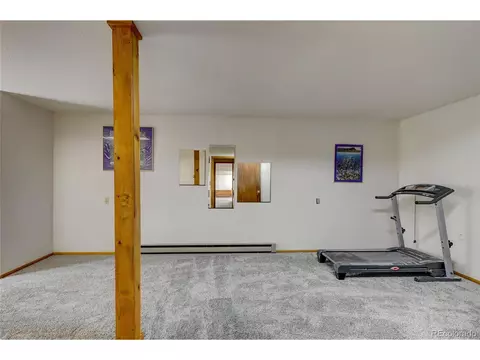315 Quakie Way, Bailey, CO 80421 photo 21