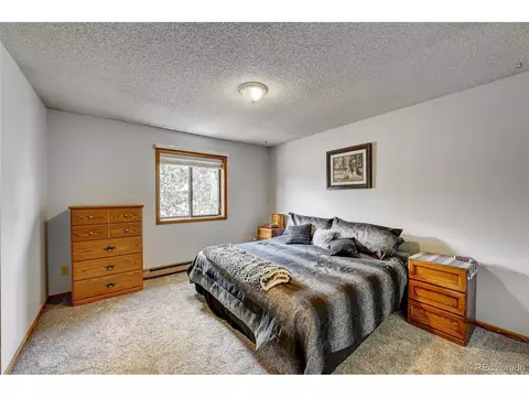315 Quakie Way, Bailey, CO 80421 photo 14