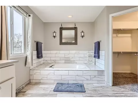 19539 E Crestridge Cir, Centennial, CO 80015 photo 20