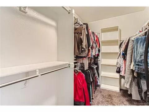 19539 E Crestridge Cir, Centennial, CO 80015 photo 25