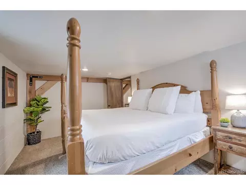 415 E La Bonte St, Dillon, CO 80435 photo 29