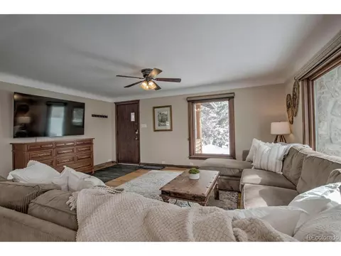 415 E La Bonte St, Dillon, CO 80435 photo 5