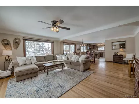 415 E La Bonte St, Dillon, CO 80435 photo 3