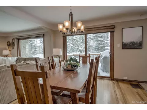 415 E La Bonte St, Dillon, CO 80435 photo 8