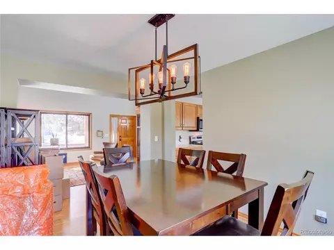 363 Bluebird Ln, Bailey, CO 80421 photo 8