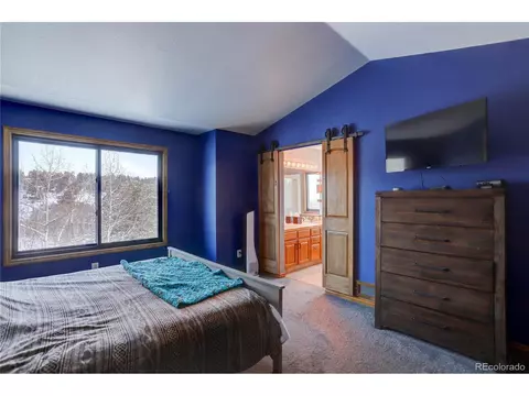 363 Bluebird Ln, Bailey, CO 80421 photo 23