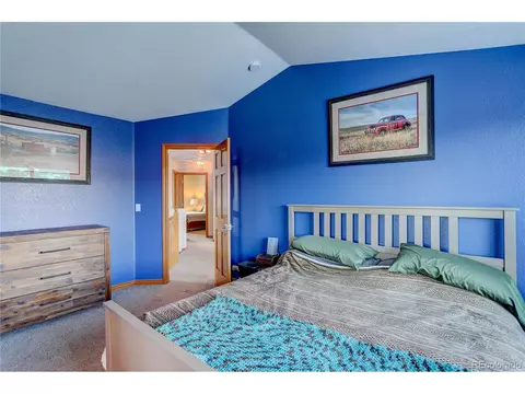 363 Bluebird Ln, Bailey, CO 80421 photo 22