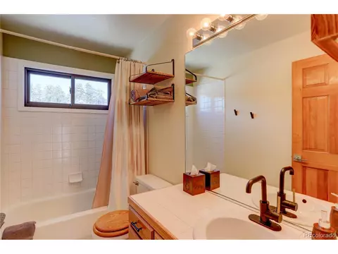 363 Bluebird Ln, Bailey, CO 80421 photo 21