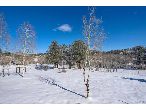 363 Bluebird Ln, Bailey, CO 80421 photo 40