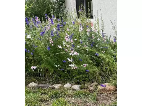 2026 Baseline Rd, Boulder, CO 80302 photo 21
