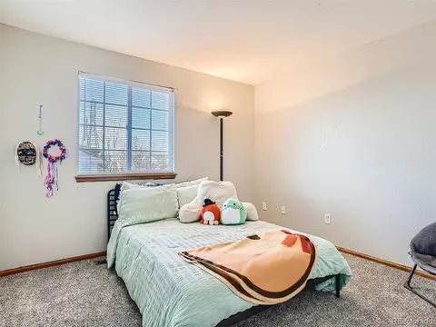 20294 E Union Dr, Aurora, CO 80015 photo 20