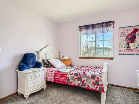 20294 E Union Dr, Aurora, CO 80015 photo 18
