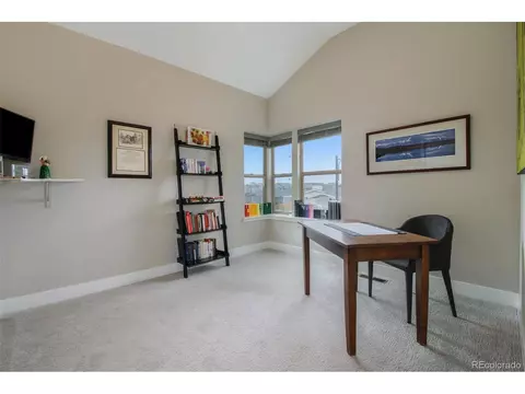 9342 E 59th Pl, Denver, CO 80238 photo 25
