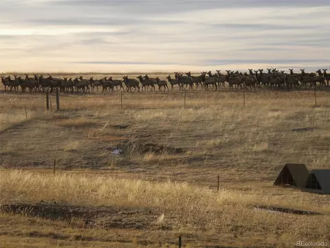 5335 County Road 82, Elbert, CO 80106