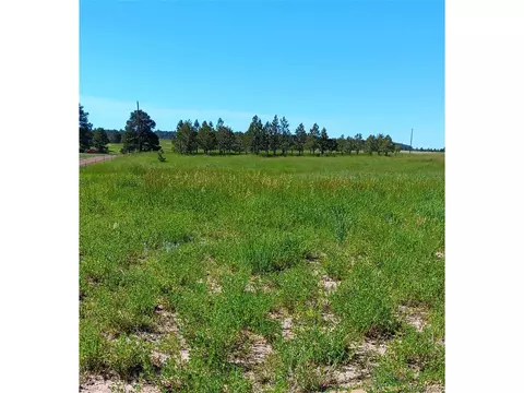 5335 County Road 82, Elbert, CO 80106 photo 3