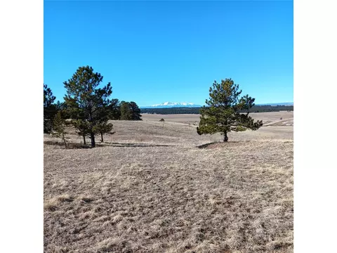5335 County Road 82, Elbert, CO 80106 photo 7