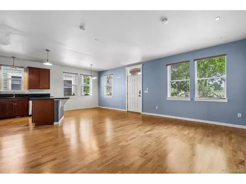 Living - 9941 E 26th Ave, Denver, CO 80238 photo 5 of 6