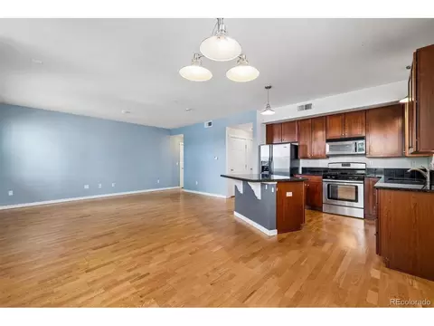 Living - 9941 E 26th Ave, Denver, CO 80238 photo 6 of 6
