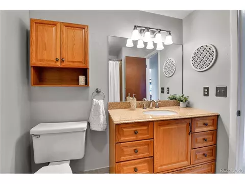 446 S Fig Way, Lakewood, CO 80228 photo 22