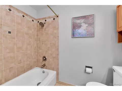 446 S Fig Way, Lakewood, CO 80228 photo 23