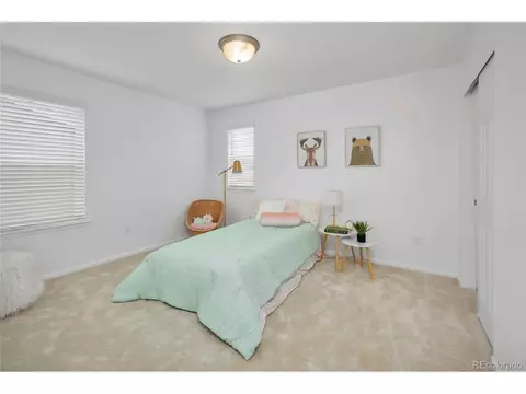 1860 Tinker Dr, Windsor, CO 80550 photo 20