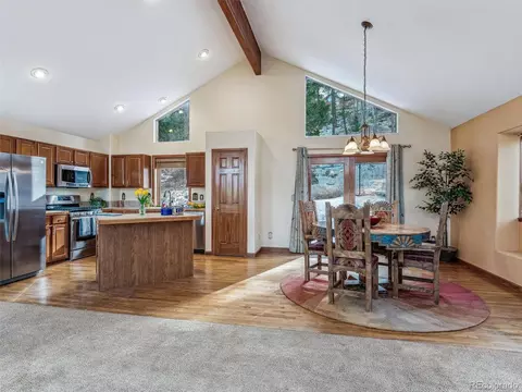571 Raven Dr, Bailey, CO 80421 photo 4