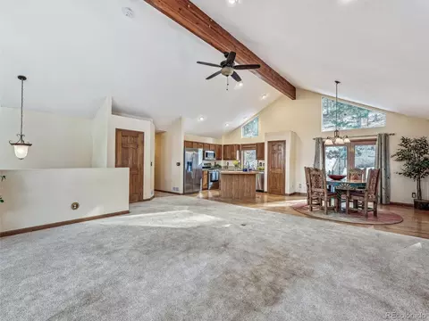 571 Raven Dr, Bailey, CO 80421 photo 7