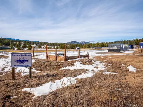 571 Raven Dr, Bailey, CO 80421 photo 26
