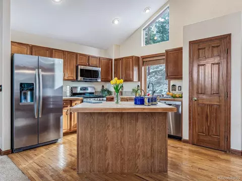 571 Raven Dr, Bailey, CO 80421 photo 8