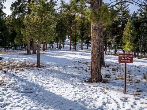 571 Raven Dr, Bailey, CO 80421 photo 28