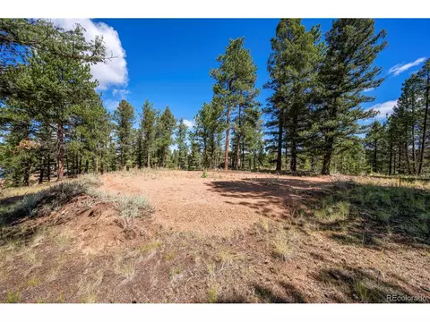 210 Donzi Trl, Florissant, CO 80816