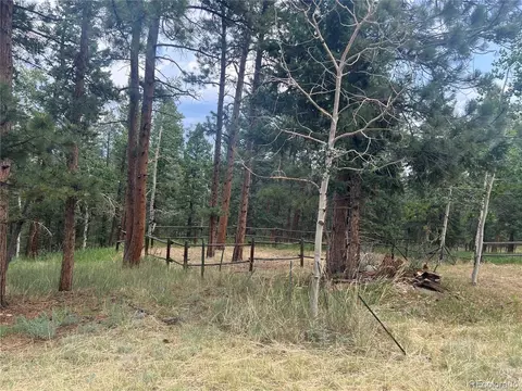 119 Conifer Dr, Bailey, CO 80421 photo 43