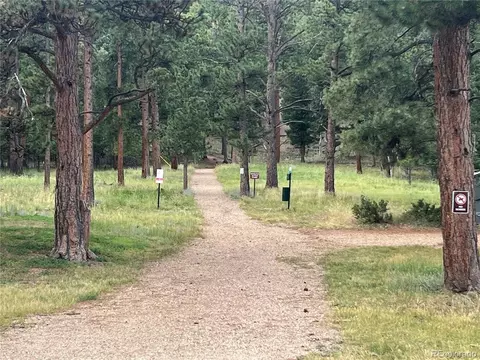 119 Conifer Dr, Bailey, CO 80421 photo 47