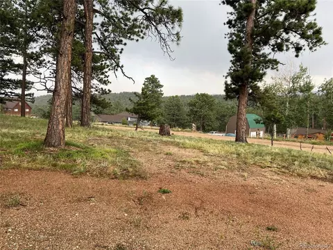 119 Conifer Dr, Bailey, CO 80421 photo 42
