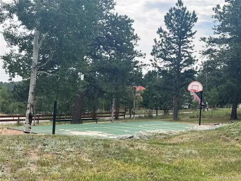 119 Conifer Dr, Bailey, CO 80421 photo 46