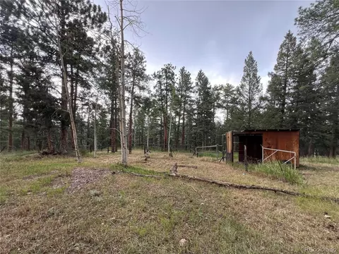 119 Conifer Dr, Bailey, CO 80421 photo 31